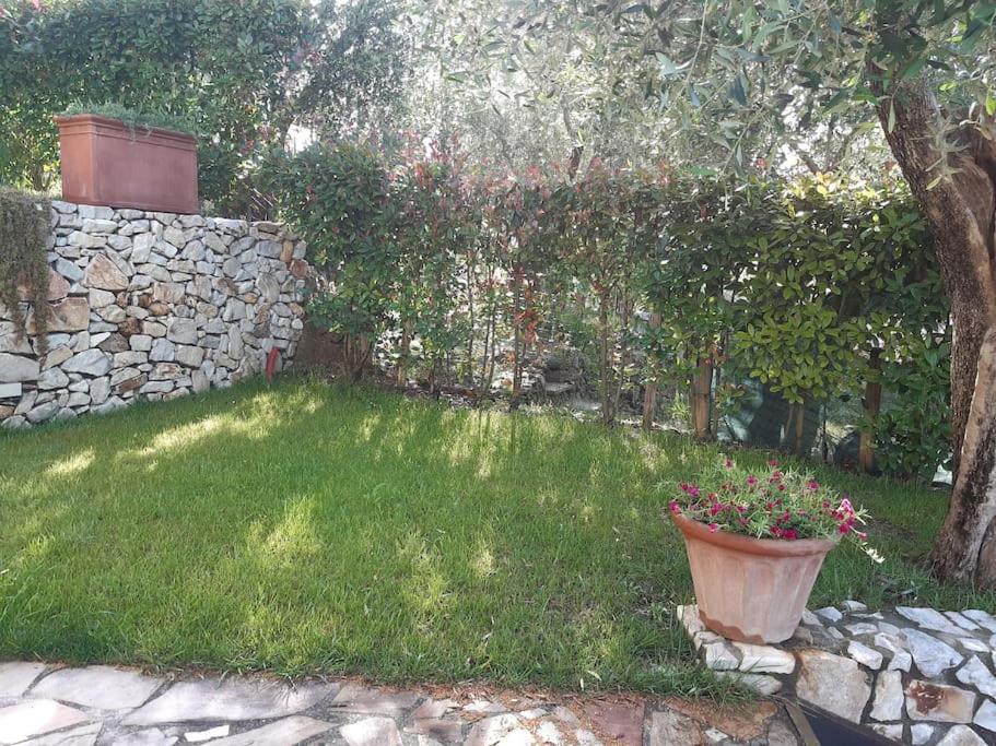 Villa Villacolle Massarosa Exterior foto