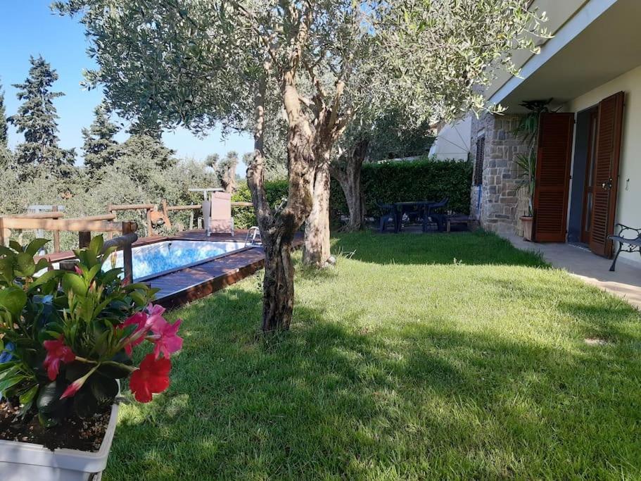 Villa Villacolle Massarosa Exterior foto