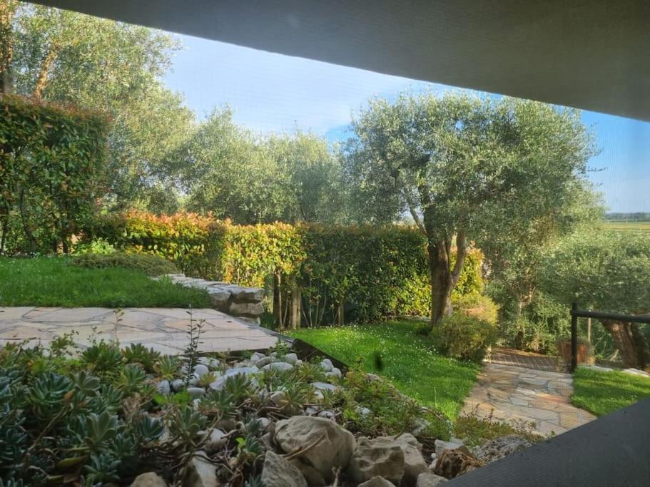 Villa Villacolle Massarosa Exterior foto